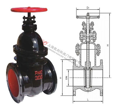 Z45T鑄鐵法蘭閘閥外形結(jié)構(gòu)圖