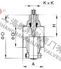 D81X衛(wèi)生級(jí)卡箍式蝶閥外形結(jié)構(gòu)圖