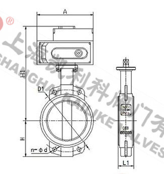 D971J電動全襯膠蝶閥外形結構圖