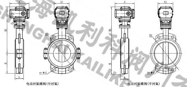 D971F46電動襯氟蝶閥外形結構圖