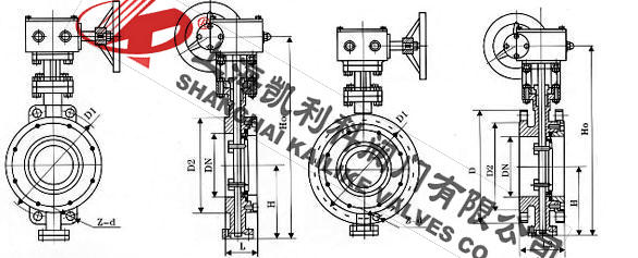 D373H日標硬密封蝶閥外形結構圖
