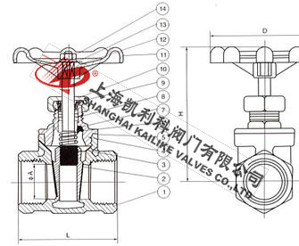 J11H絲扣截止閥外形結構圖
