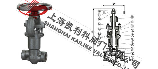 J61Y鍛鋼自密封截止閥外形結構圖