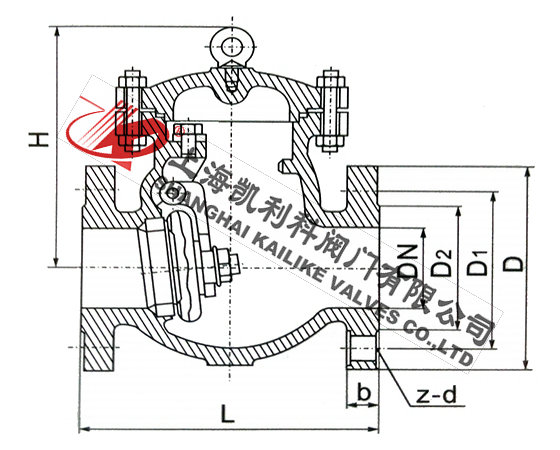 DH44Y法蘭低溫止回閥外形結(jié)構(gòu)圖