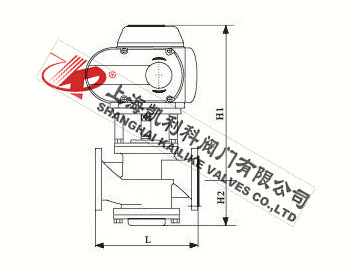 EDRV電動二通平衡閥外形結構圖