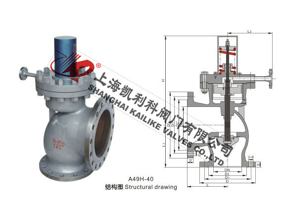 A49H、A49Y蒸汽主安全閥外形結構圖