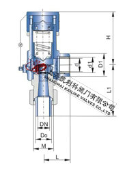A61F、A61H、A61W、A61Y彈簧微啟式焊接安全閥外形結構圖