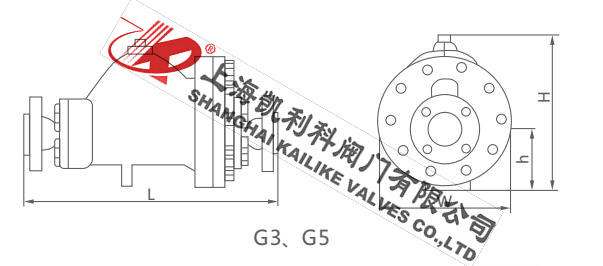 G3、G5杠桿浮球式蒸汽疏水閥
