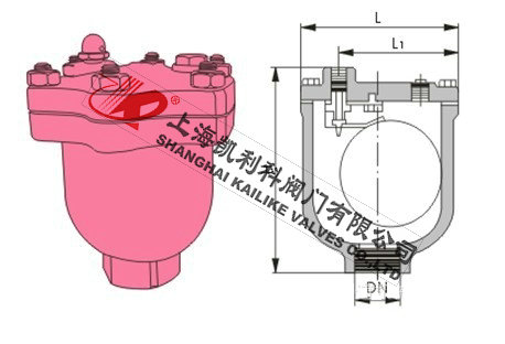 ARVX微量自動排氣閥外形結(jié)構(gòu)圖