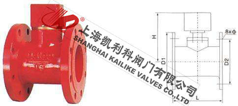 ZSJZ水流指示器外形結構圖